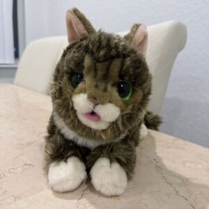 Lil Bub Cuddle Barn Green Eye 18" Realistic Brown Tabby Cat